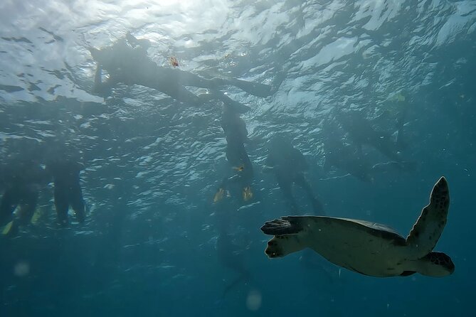 Snorkeling Experience in Santa Maria Bay by Boat - Common questions