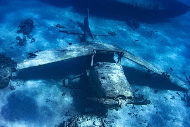 Snorkeling Tour Tahiti Private for 2 People - Last Words