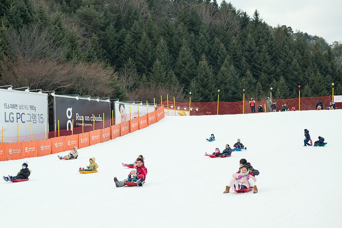 Snow or Ski Day Trip to Elysian Ski Resort From Seoul - No Shopping - Last Words