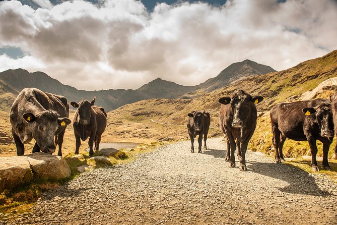 Snowdonia & Chester Day Tour From Manchester Including Admission - Last Words