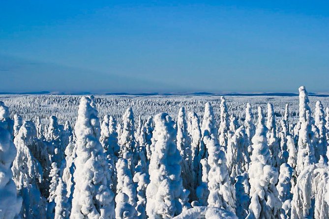 Snowmobile Safari in the Nature - Last Words