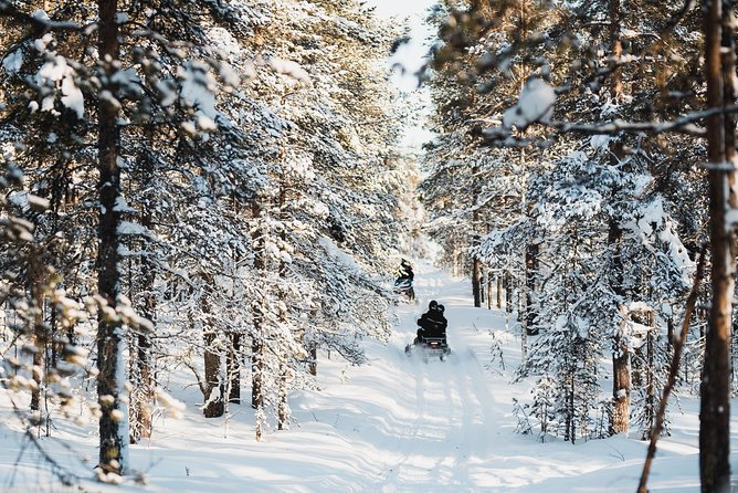 Snowmobile Safari Into the Arctic Circle Forest - Last Words