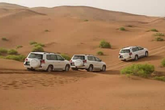 Sous Massa Full-Day Tour From Agadir With Lunch - Last Words