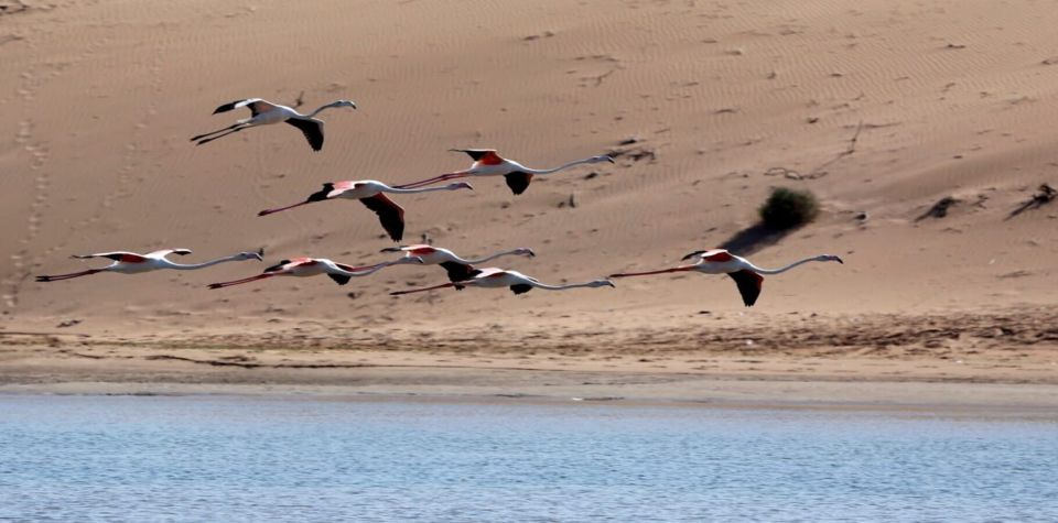 Souss-Massa National Park, Chtouka Aït Baha - Book Tickets & Tours - Additional Details