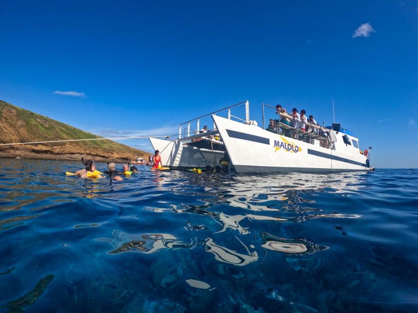 South Maui: PM Snorkel to Coral Gardens or Molokini Crater - Last Words