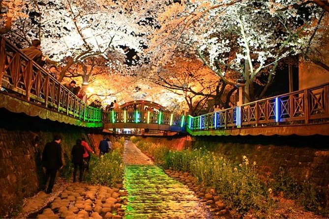 Spring 6 Days Cherry Blossom Jeju&Busan&Jinhae&Gyeongju on 31 Mar to 10 Apr - Additional Details