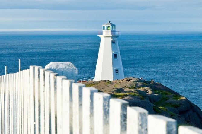 St. John'S Small Group Tour With Iceberg Quest Boat Cruise - Additional Resources