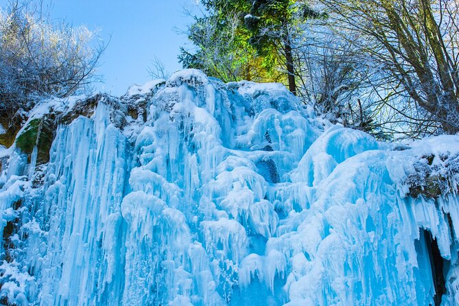 Strawberry & Eobi Valley Tour With Nami Island or Sled Option - Copyright and Terms Information