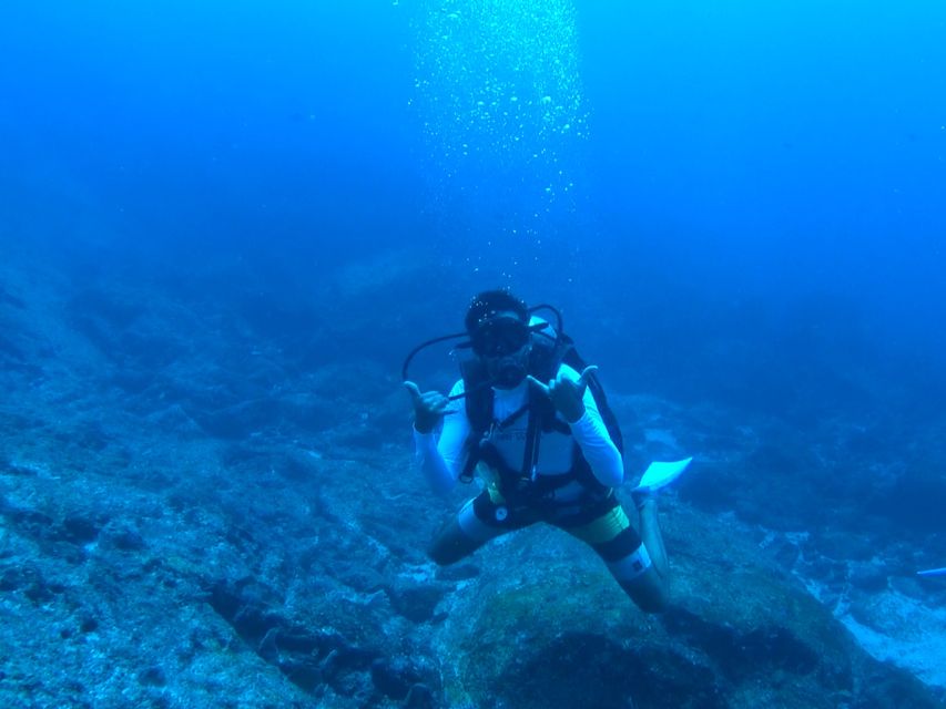 Submerge Into Adventure: Scuba Diving in Marietas Island - Last Words