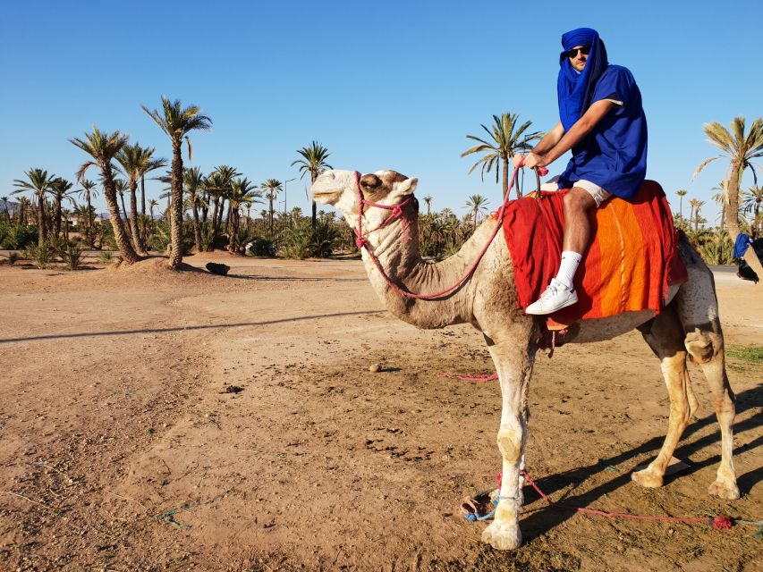 Sunset Camel Ride in the Marrakech Palmeraie - Transportation Details