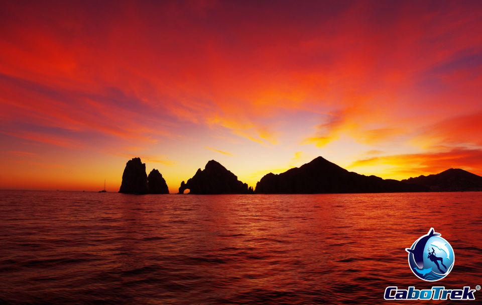 Sunset Whale Watching Cruise in Cabo San Lucas - Last Words