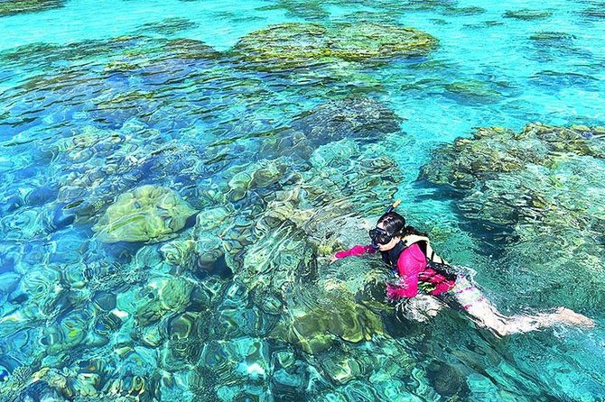 Surin Islands Snorkeling Day Trip By Love Andaman From Khao Lak - Cancellation Policy and Refunds