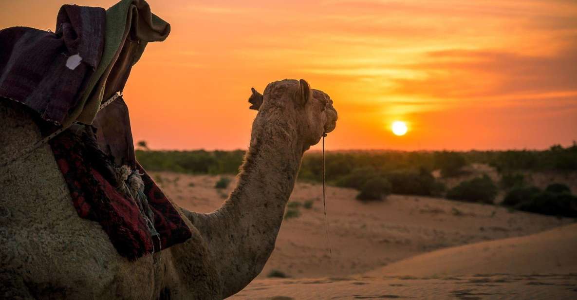 Taghazout: Sunset Beach Camel Ride With Hotel Transfers - Nature Beauty