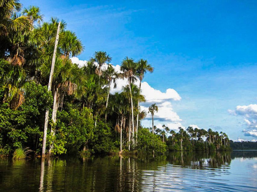 Tambopata: Lake Sandoval Canoeing With Lunch - Last Words