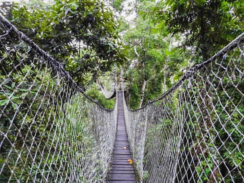 Tambopata: Multi-Day Amazon Rainforest Tour With Local Guide - Wildlife Encounters