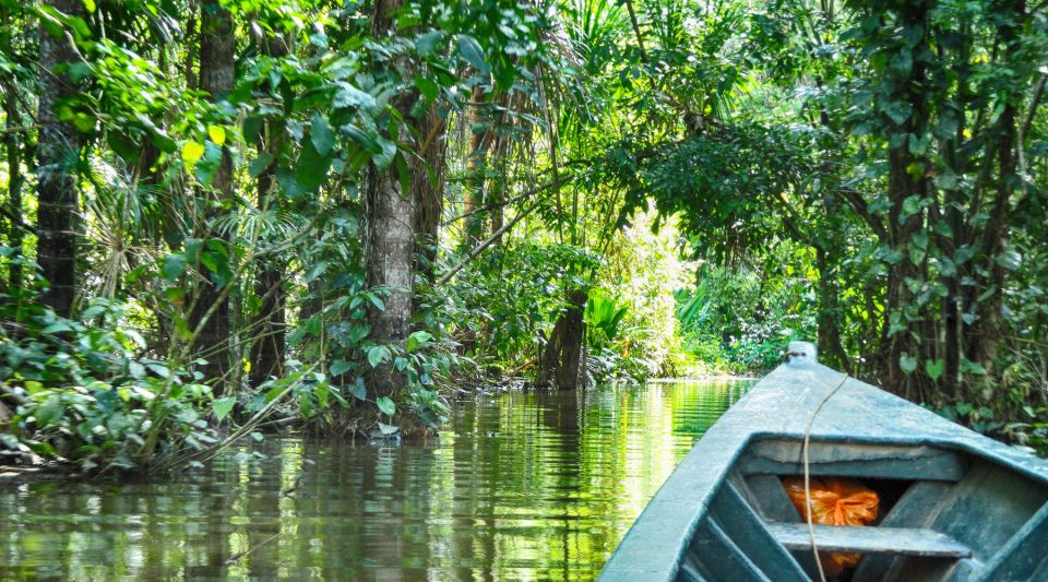 Tambopata Peruvian Amazon Jungle for Three Days/Two Nights - Common questions