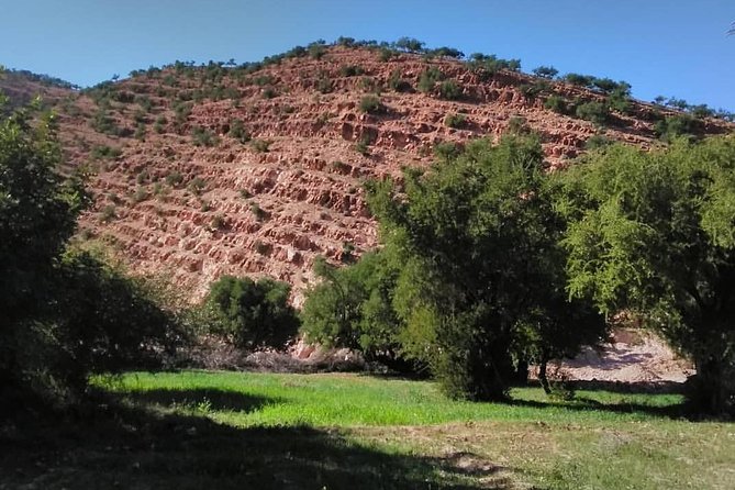 Taroudant the Berber City the Oasis of Tiout Village - Taroudants Historical Landmarks