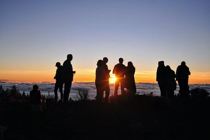 TEIDE NIGHT, Stargazing Bus Tour, Meal & Drinks Included! - Last Words