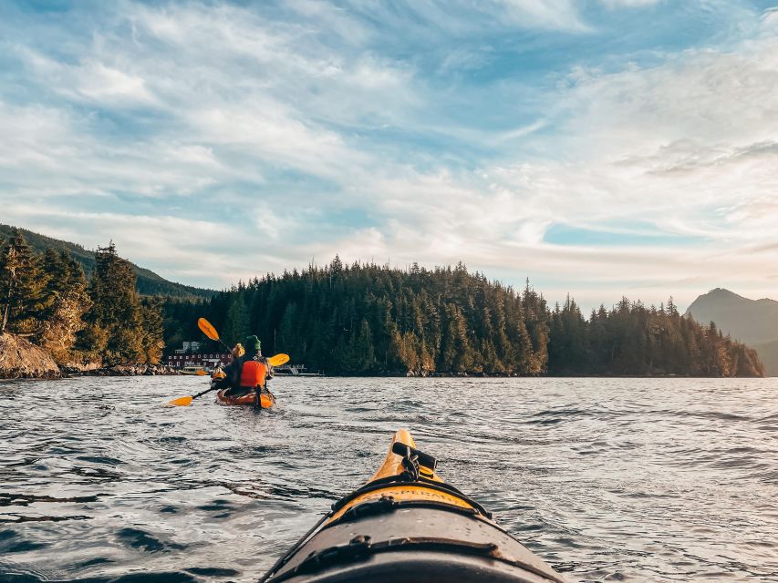 Telegraph Cove: 2 Hour Evening Kayak Tour - Last Words