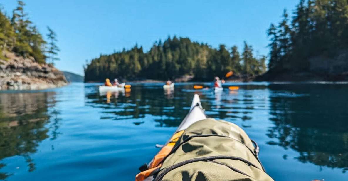 Telegraph Cove: Half-Day Kayaking Tour - Last Words