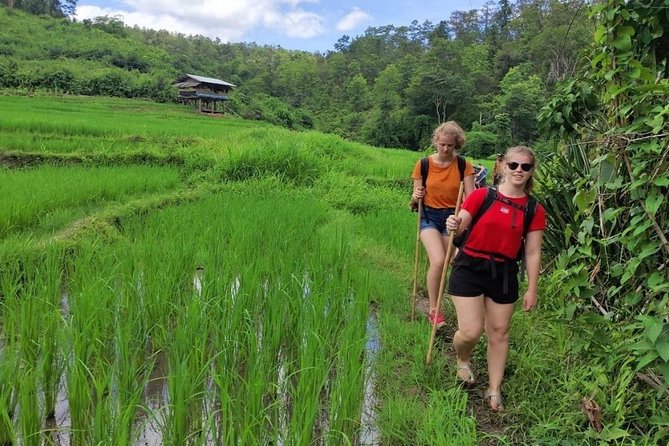 The 2 Day Karen Homestay Experience - Pricing and Additional Information