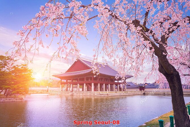 The Beauty of the Korea Cherry Blossom Discover 11days 10nights - Last Words
