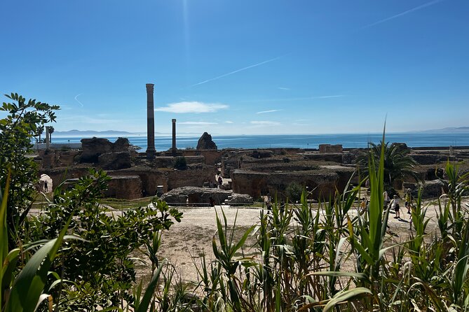 The Charm of the Capital: Carthage Sidi Bou Saïd and the Medina - Travel Tips and Recommendations