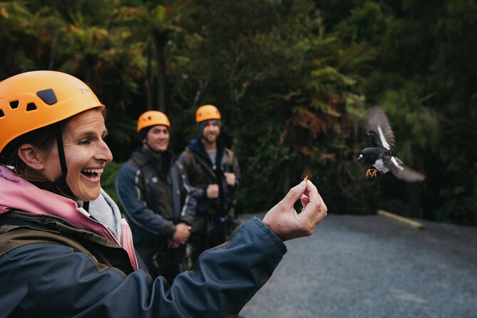 The Original Canopy Zipline Experience Private Tour From Auckland - Common questions