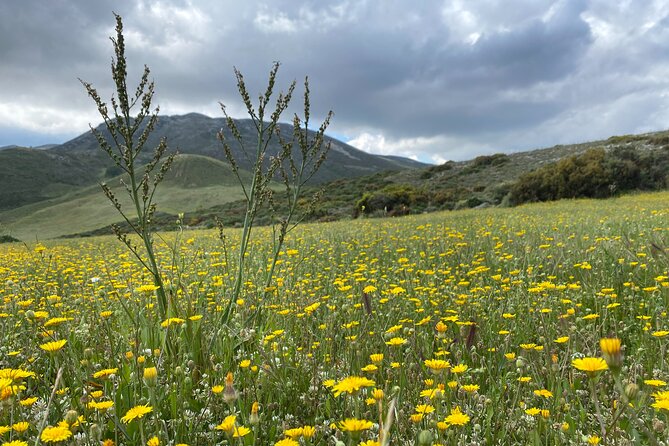 The Shepherds Path Eleven Gates Full-Day Hike From Rethymno - Pricing, Refund, and Rescheduling Policy