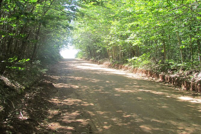 The Ultimate Anne of Green Gables Private Tour - Traveler Support Information