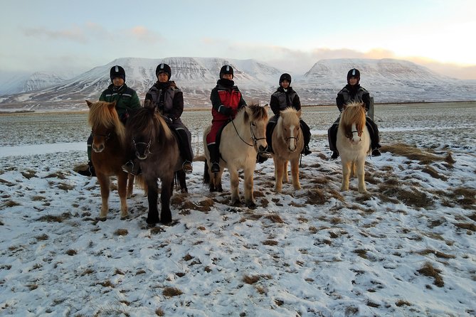 The Viking North Iceland Horse Riding in Winter Experience - Common questions