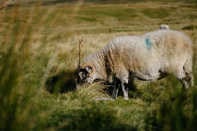 The Yorkshire Dales Tour From Windermere - Contact and Support Details