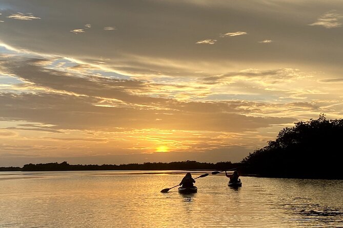 Thousand Islands Mangrove Tunnel Sunset Kayak Tour With Cocoa Kayaking! - Last Words