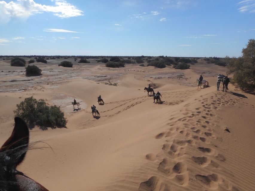 Touareg Desert Horseback Riding in Morocco - Safety and Requirements
