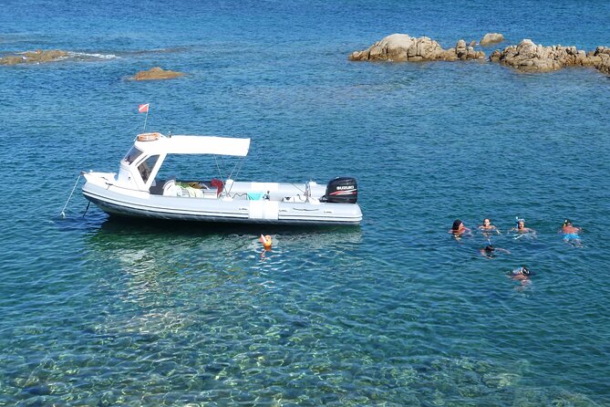 Tour in Rubber Dinghy and Snorkeling in the Protected Marine Area of Tavolara - Last Words
