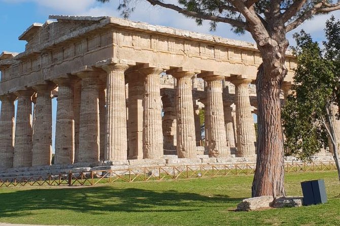 Tour in the Ruins of Paestum With an Archaeologist - Memorable Tour Moments