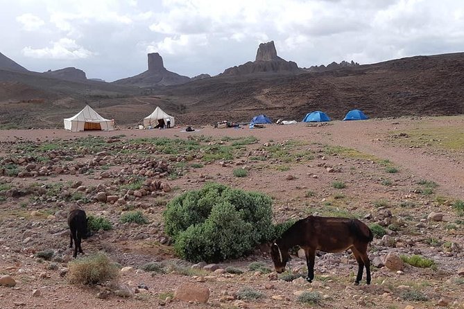 Trek Jebel Saghro Morocco 8 Days - Travel Logistics and Policies