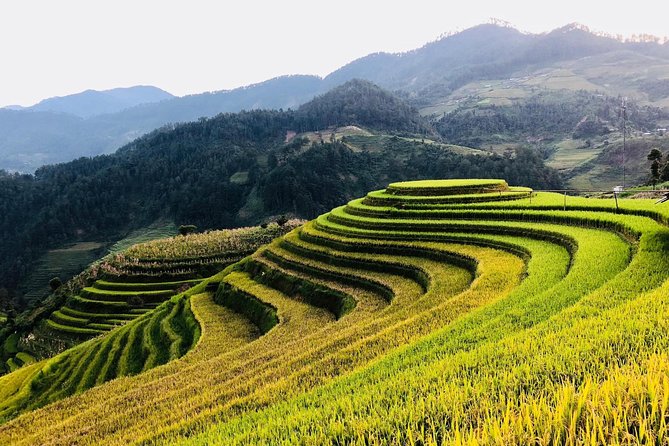 Trekking Sapa 1 Day - the Best Terraced Rice Field - Common questions