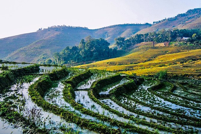 Trekking Through Rice Terraced Fields - 1Day - Last Words