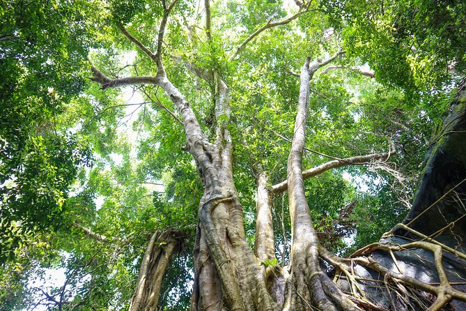 Trekking Tien Son Cave in Phu Quoc - Last Words