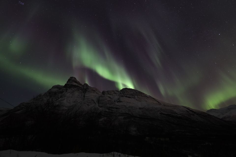 Tromsø: Aurora Borealis Chase With Guide, Meals & Campfire - Common questions