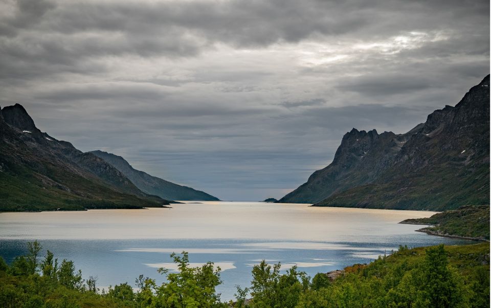 Tromsø: Fjord Photo Tour by Minibus - Customer Reviews