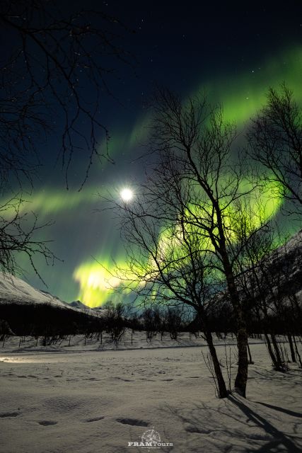 Tromso: Northern Lights Hunting & Photography Expedition - Directions