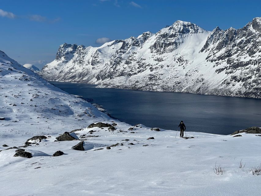 Tromso: Scenic & Eco-Friendly Snowshoeing Tour - Activity Directions
