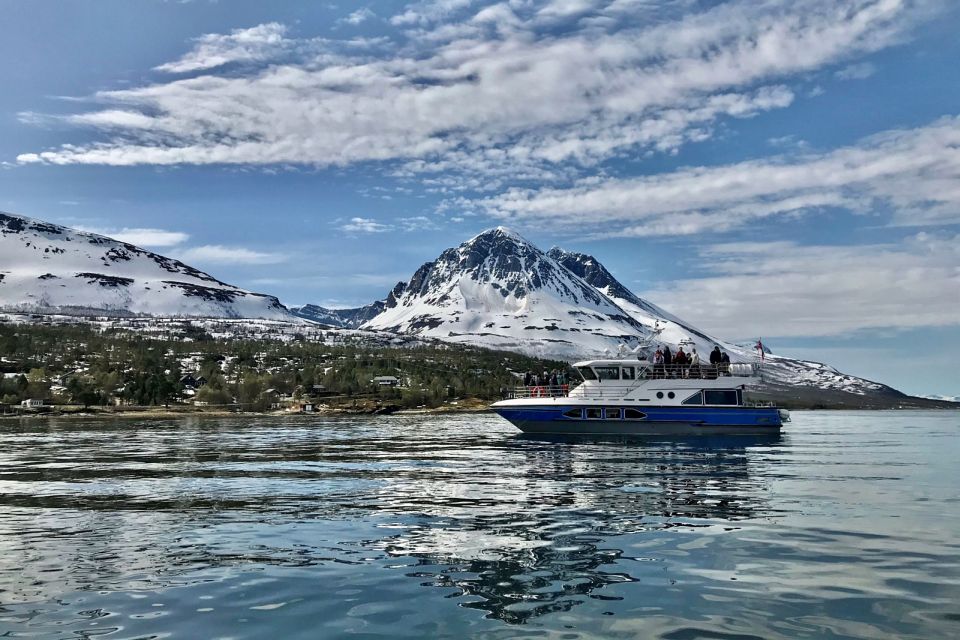 Tromsø: Wildlife Bird Fjord Cruise With Lunch and Drinks - Customer Reviews and Ratings