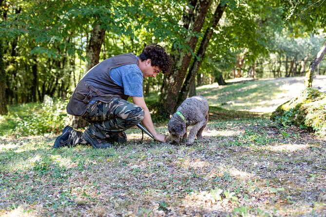 Truffle Lunch & Hunting Experience in San Gimignano - Common questions