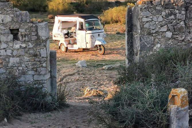 Tuk Tuk Tour Tavira Total - 2h00 - Includes Tuna Museum and Fishing Village - Common questions