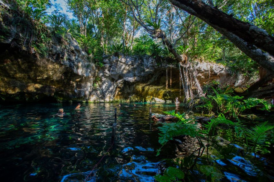 Tulum: Cenote Trail Bike Tour - Review Summary and Highlights