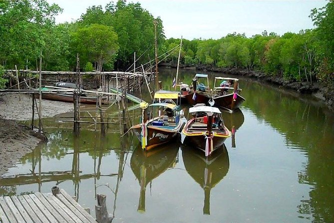 Tung Yee Peng Mangrove Forest Tour By Longtail Boat From Koh Lanta - Pricing and Savings