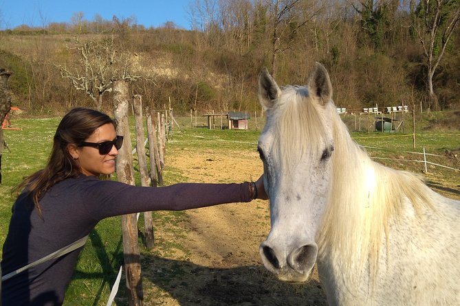 Tuscan Countryside Bike Tour and Food Tasting - Last Words